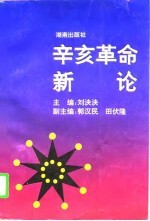 辛亥革命新论