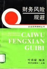 财务风险规避