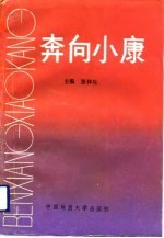 奔向小康 湖北省千万元村经济和社会发展调查