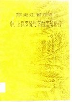 黑龙江省东部中、上侏罗统与下白垩统化石 上