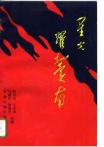 星光耀冀南