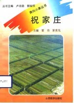 祝家庄