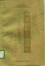 中国创新系统研究 技术、制度与知识