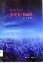 张子良作品集