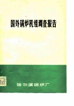 国外锅炉机组调查报告