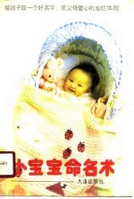 小宝宝命名术