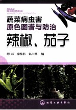 辣椒、茄子