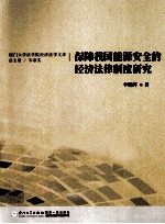 保障我国能源安全的经济法律制度研究