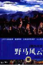 人与动物的故事 野马风云