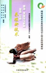 鹧鸪 美国绿头野鸭 雉鸡 乌鸡养殖新技术