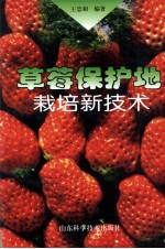 草莓保护地栽培新技术