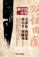 新中国往事 政坛旧闻