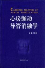 心房颤动导管消融学 第2版