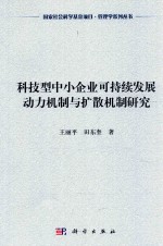 科技型中小企业可持续发展动力机制与扩散机制研究