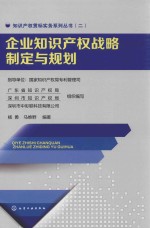 企业知识产权战略制定与规划