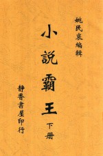 小说霸王 下