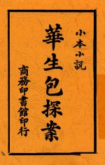 华生包探案