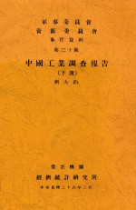 中国工业调查报告 下