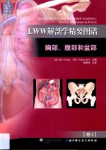 LWW解剖学精要图谱 卷2 胸部、腹部和盆部