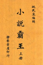 小说霸王 上