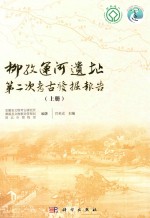 柳孜运河遗址第二次考古发掘报告 上