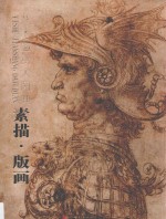 艺术鉴赏大图典 素描·版画