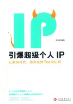 引爆超级个人IP 互联网时代,爆款案例的成功法则
