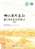 柳孜运河遗址第二次考古发掘报告 中