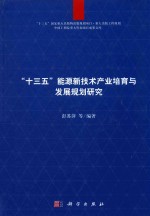 “十三五”能源新技术产业培育与发展规划研究