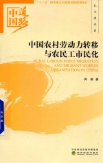 中国道路 中国农村劳动力转移与农民工市民化