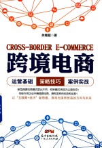 跨境电商 运营基础·策略技巧·案例实战