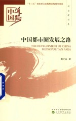 中国道路 中国都市圈发展之路 政治建设卷