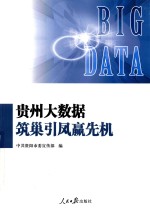 贵州大数据筑巢引凤赢先机