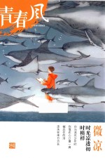 青春风特辑 微凉 2017版