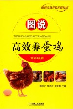 图说 高效养蛋鸡