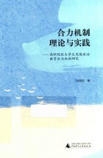 合力机制理论与实践 高职院校大学生思想政治教育合力机制研究