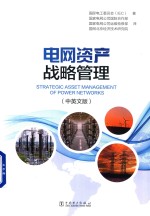 电网资产战略管理 中英文版
