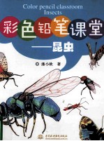彩色铅笔课堂 昆虫