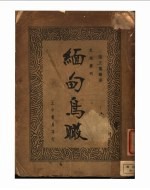 缅甸鸟瞰