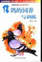 信鸽的饲养与训练