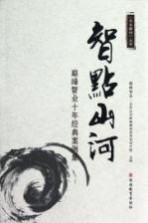 智点山河 巅峰智业十年经典案例集