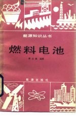 燃料电池