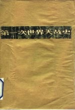 第一次世界大战史 1914-1918 上下