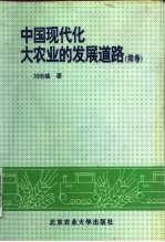 中国现代化大农业的发展道路 续卷