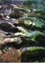 中国农业自然资源与区域发展