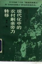 现代化中的农村剩余劳力转移