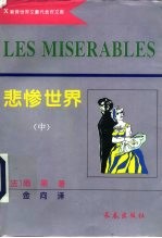 悲惨世界 中、下