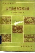 农民勤劳致富经验集