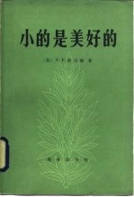 小的是美好的