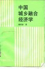 中国城乡融合经济学